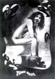 Frank Zappa - Illustration
